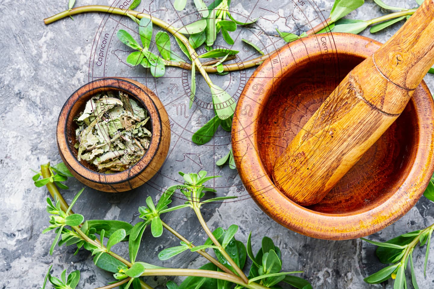 Hierbas y elementos de terapia floral